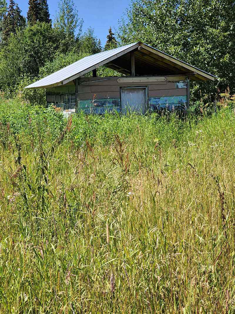 Building in overgrown field